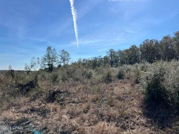 $289,000 | 0 James Luther Street, Ponce de Leon, FL 32455