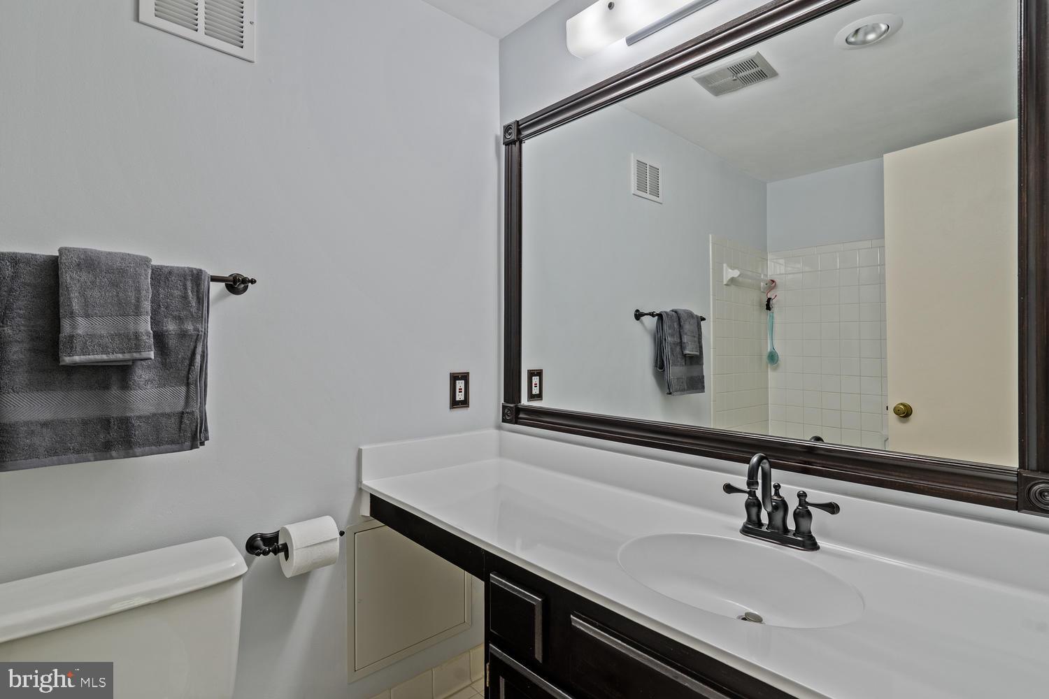 112 Finale Terrace Silver Spring, MD 20901 - Photo 24 of 33 Renovated Owner's Bath