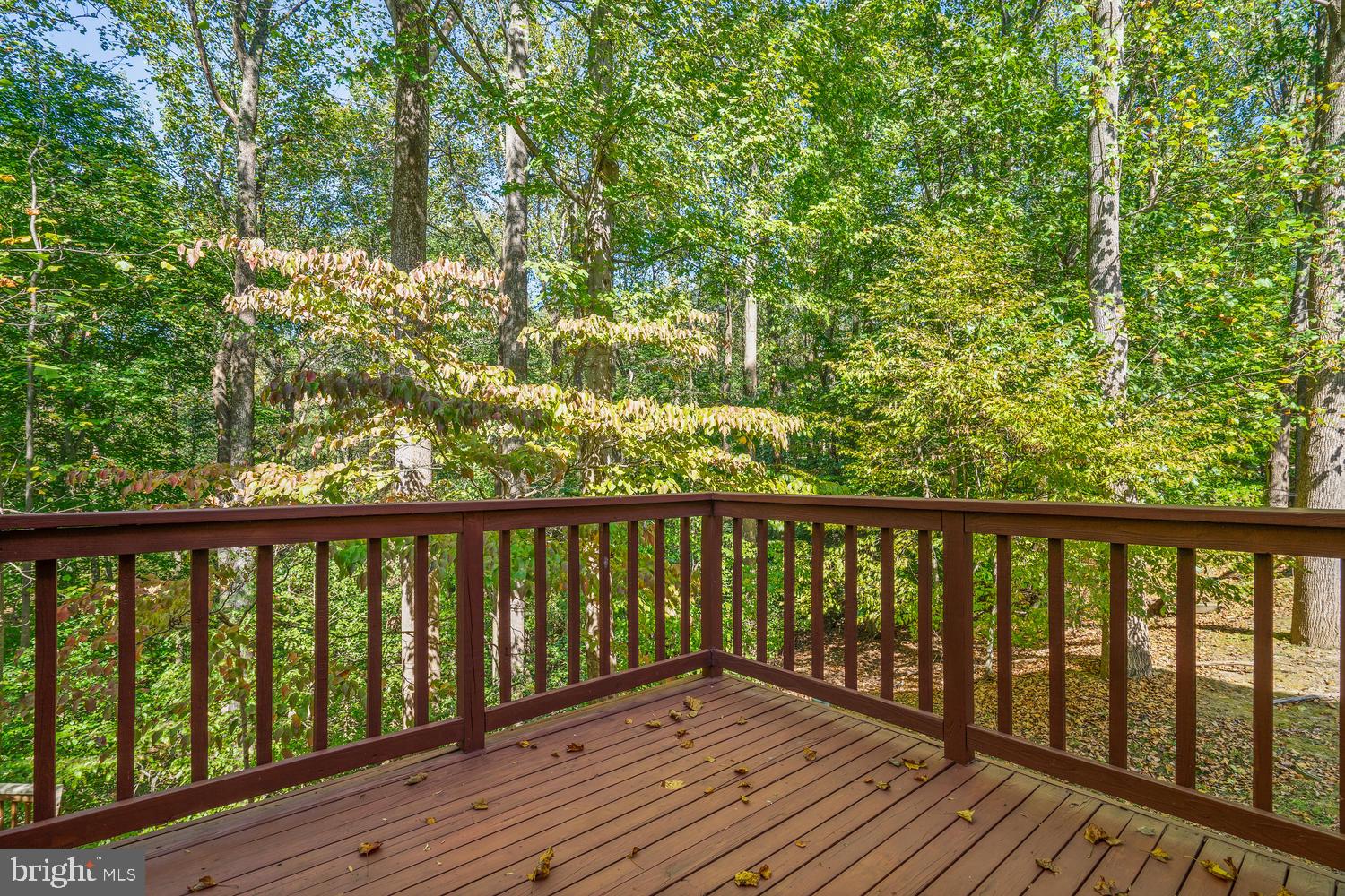 112 Finale Terrace Silver Spring, MD 20901 - Photo 31 of 33 Tranquility of Montgomery County Parkland!