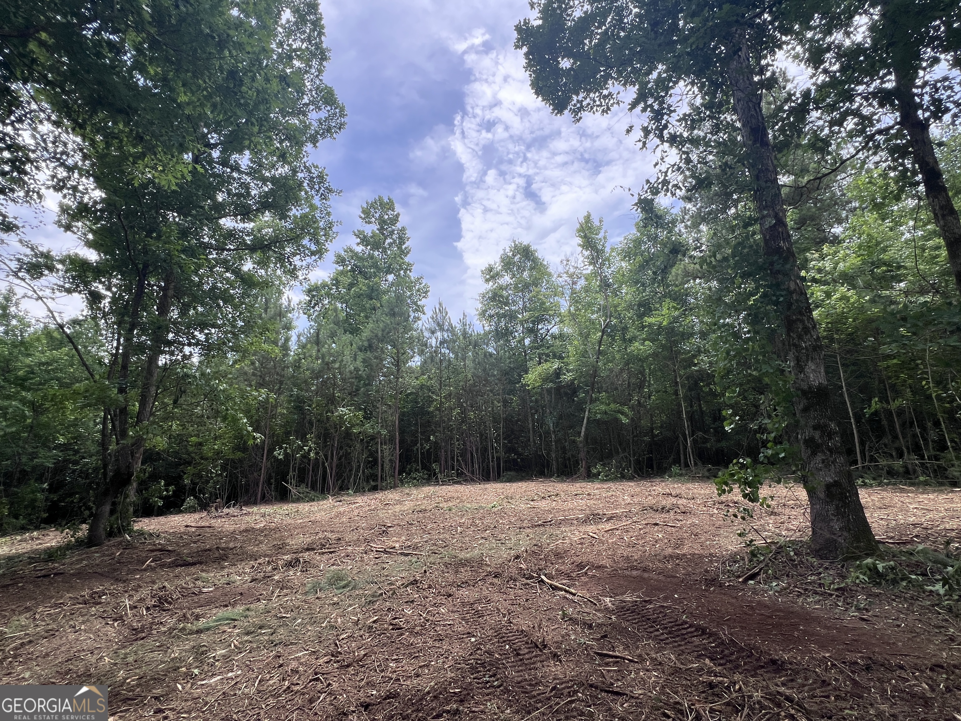 0 Bethlehem Church Road Grantville, GA 30220 - Photo 2 of 22