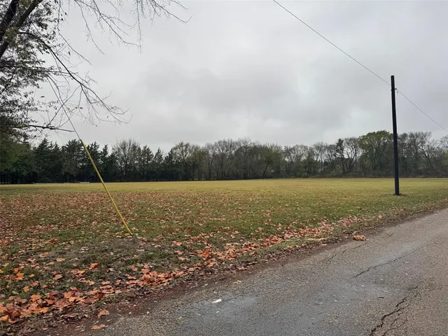 a view of an ocean with a large trees