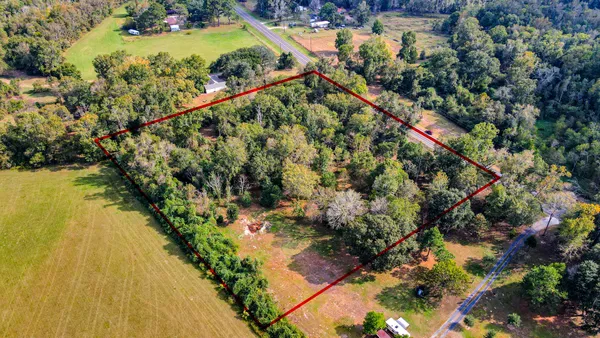 a view of a yard with a tree