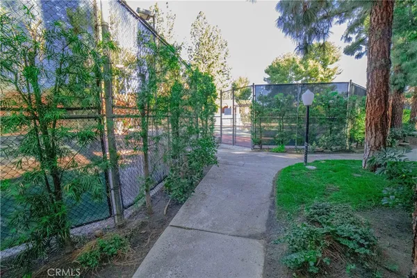 a view of a garden with plants