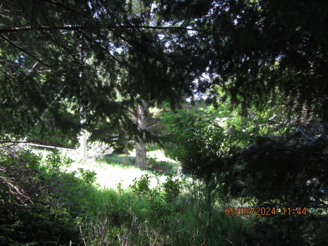 232 Nob Hill Road Shelter Cove, CA 95589 - Photo 9 of 20