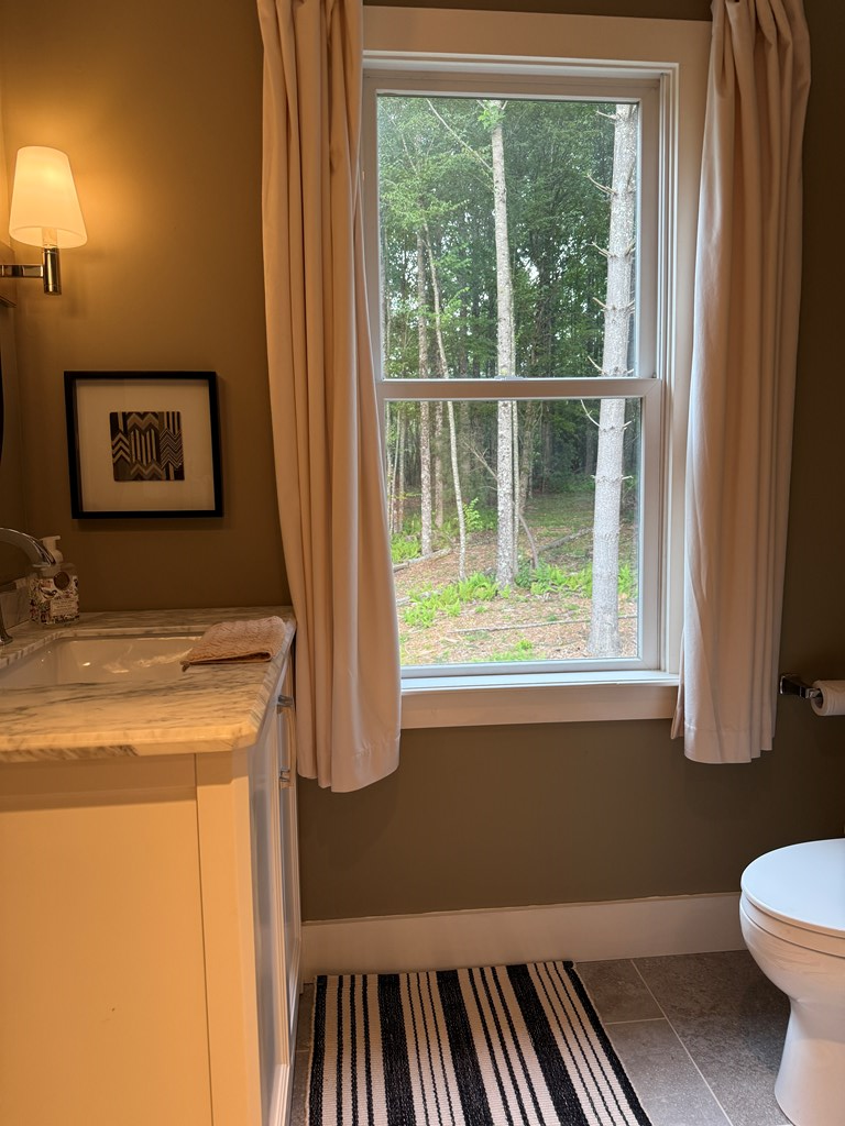163 Snow Ridge Lane Fancy Gap, VA 24328 - Photo 66 of 89 Gallery Image 66