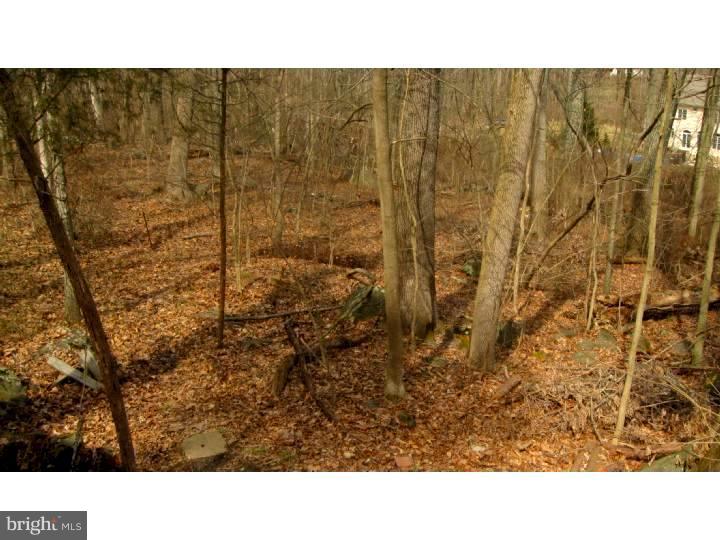 209 Fulmer Road Perkiomenville, PA 18074 - Photo 8 of 13 View in Back