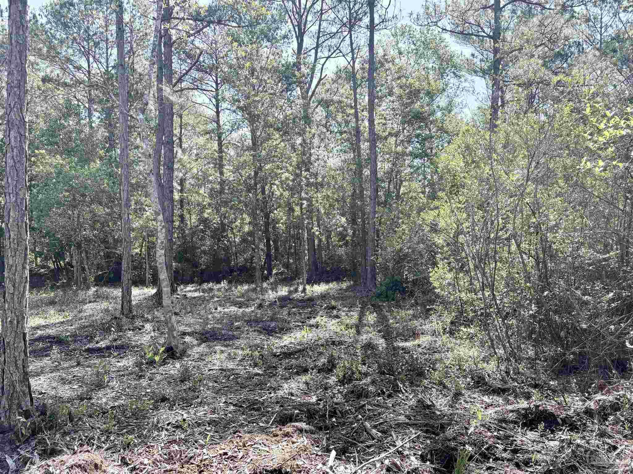 Del Monte Street Milton, FL 32583 - Photo 13 of 18