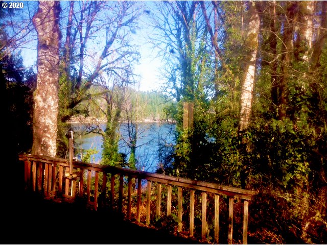 92762 Triangle Lake Resort Road Blachly, OR 97412 - Photo 8 of 16 Gallery Image 8