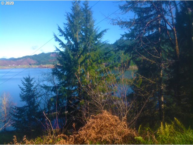 92762 Triangle Lake Resort Road Blachly, OR 97412 - Photo 9 of 16 Gallery Image 9