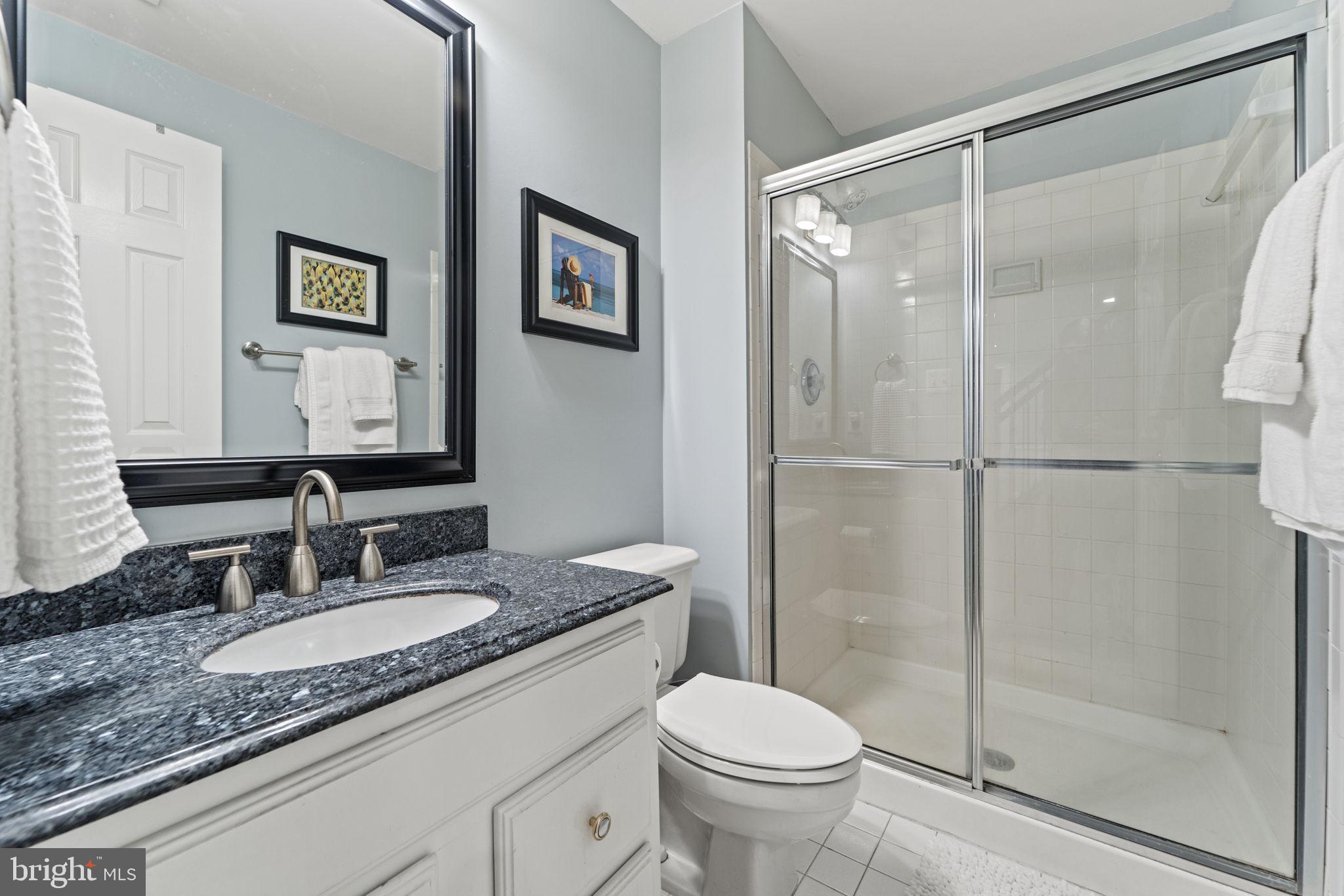 1211 Tottenham Court Reston, VA 20194 - Photo 49 of 80 lower level full bath
