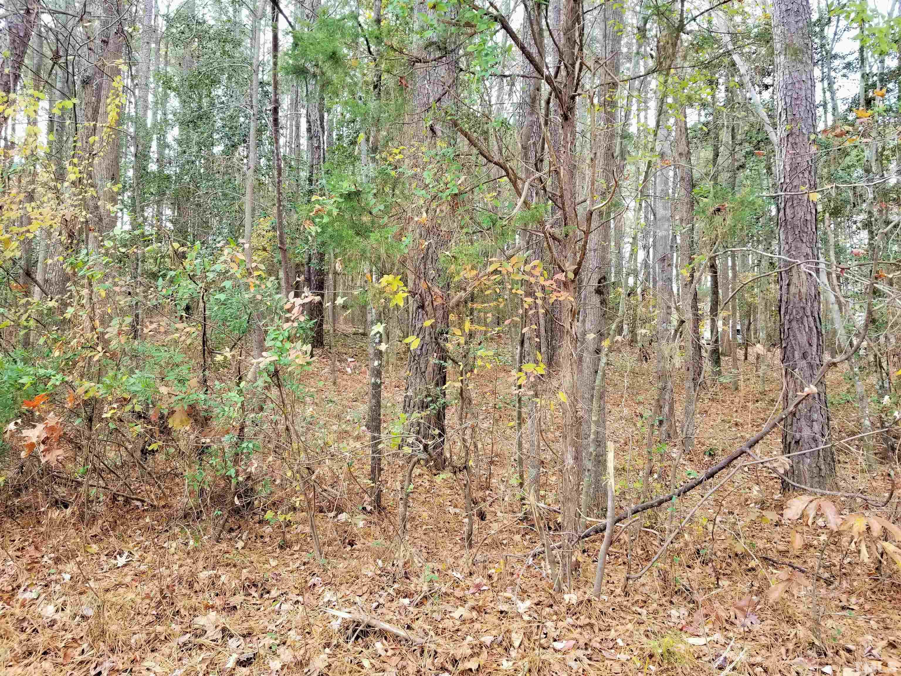 308 Cree Drive Spring Hope, NC 27882 - Photo 3 of 4 Gallery Image 3