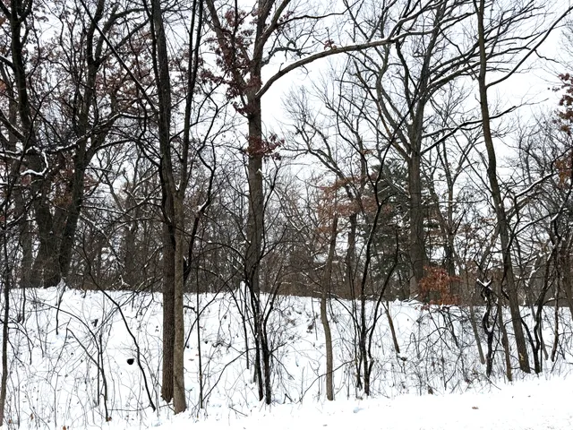 $114,900 | 377 Totem Road, St. Paul, MN 55119