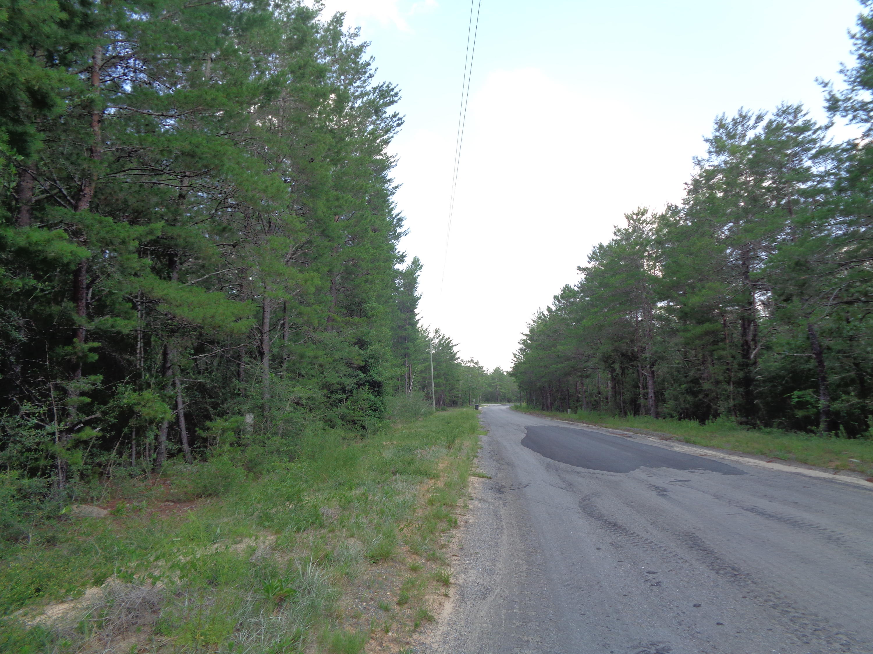 1.46-acres Watson Road DeFuniak Springs, FL 32433 - Photo 1 of 6 Florala 006