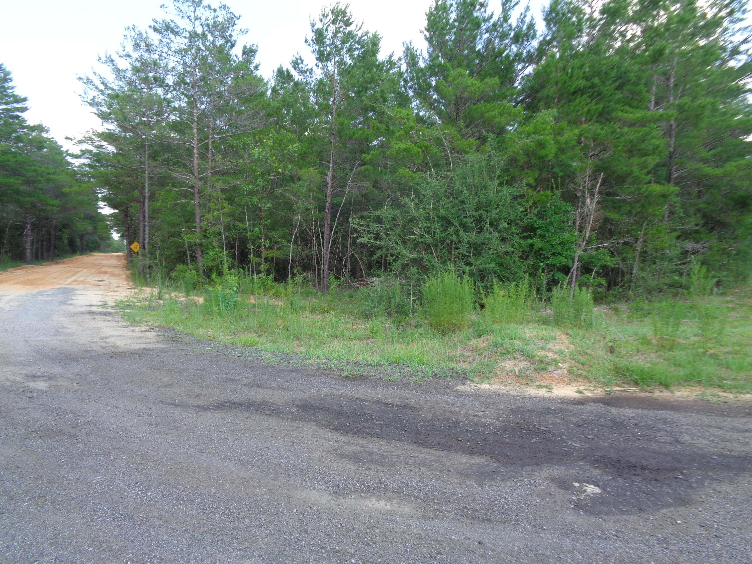 1.46-acres Watson Road DeFuniak Springs, FL 32433 - Photo 2 of 6 Florala 001
