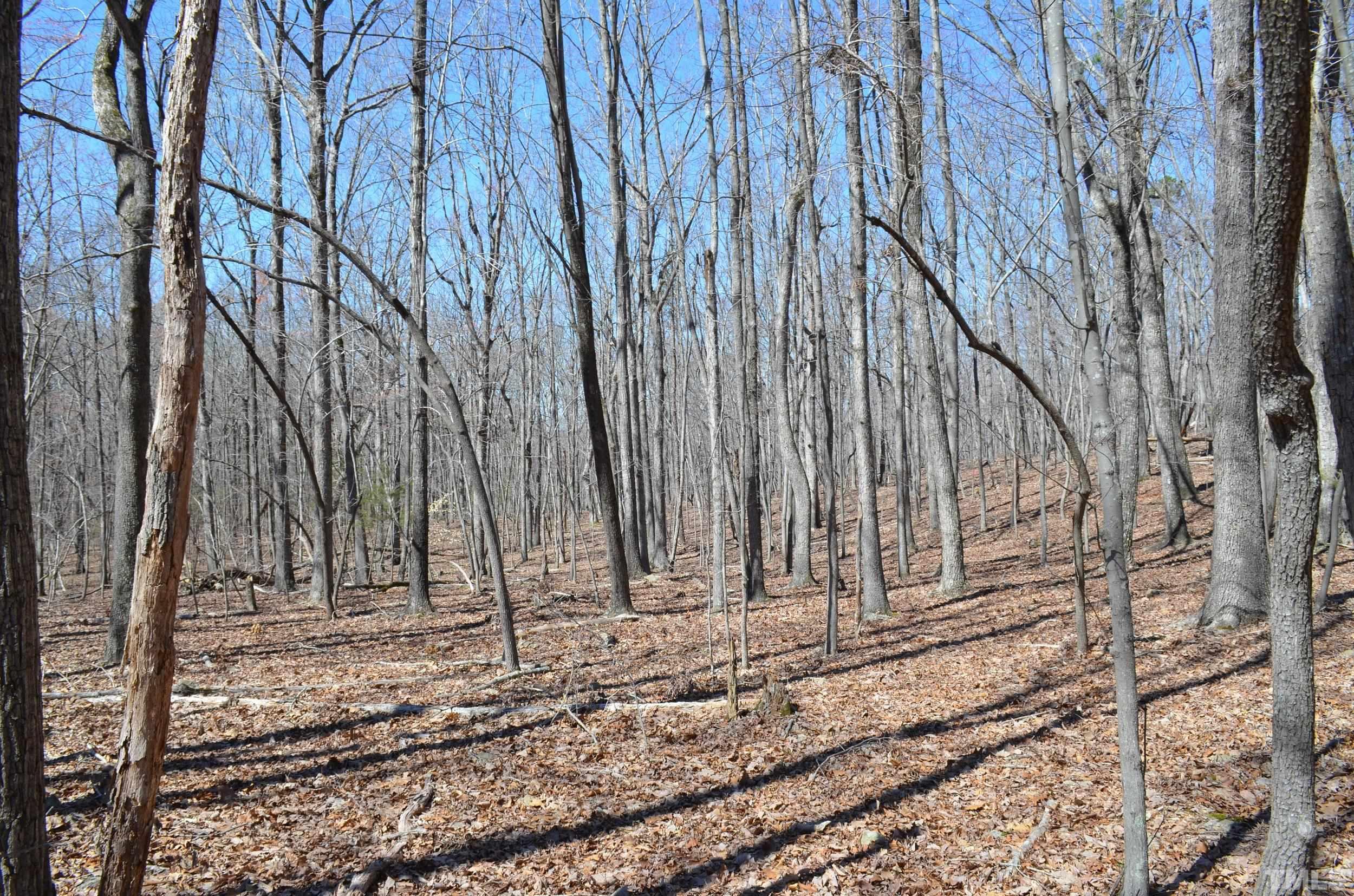 2 Fire Tower Drive Rougemont, NC 27572 - Photo 2 of 7 a view of a backyard of the house