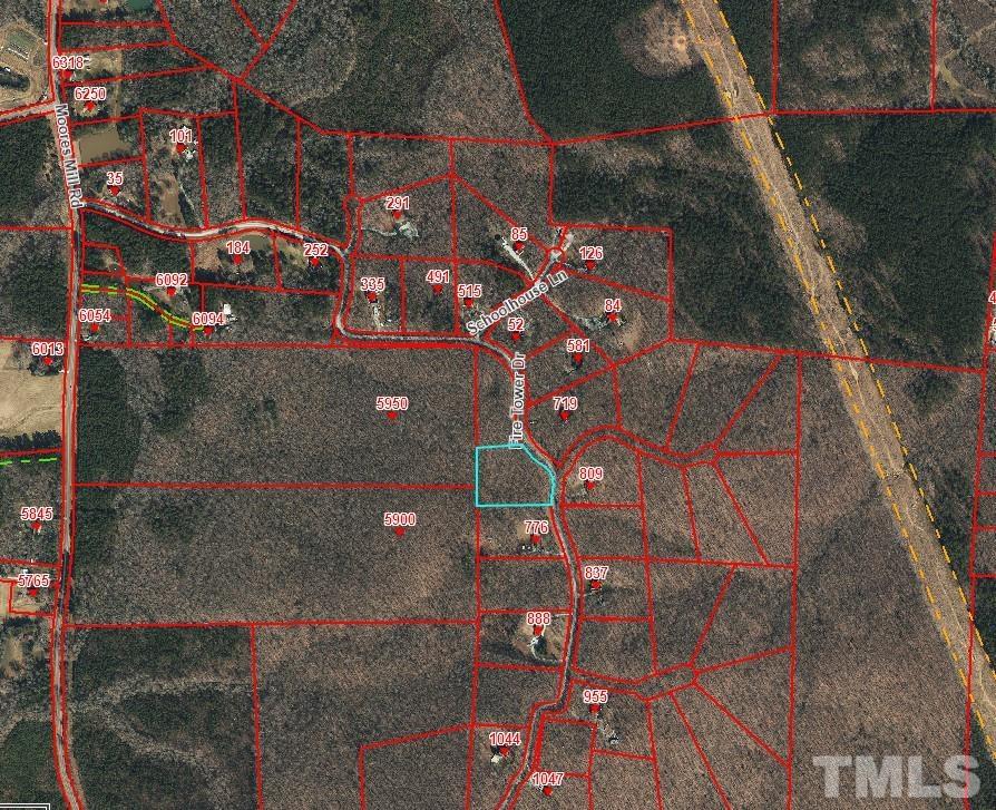 2 Fire Tower Drive Rougemont, NC 27572 - Photo 7 of 7 a picture of a tree