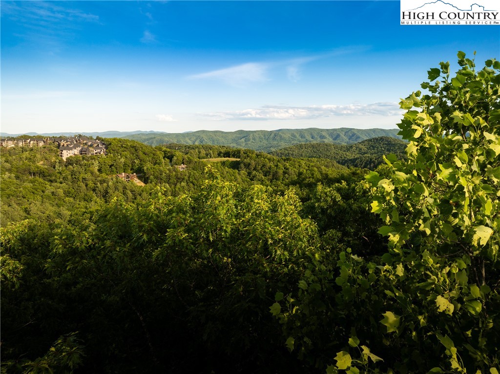 1265 Reynolds Parkway Boone, NC 28607 - Photo 7 of 50 a view of a city