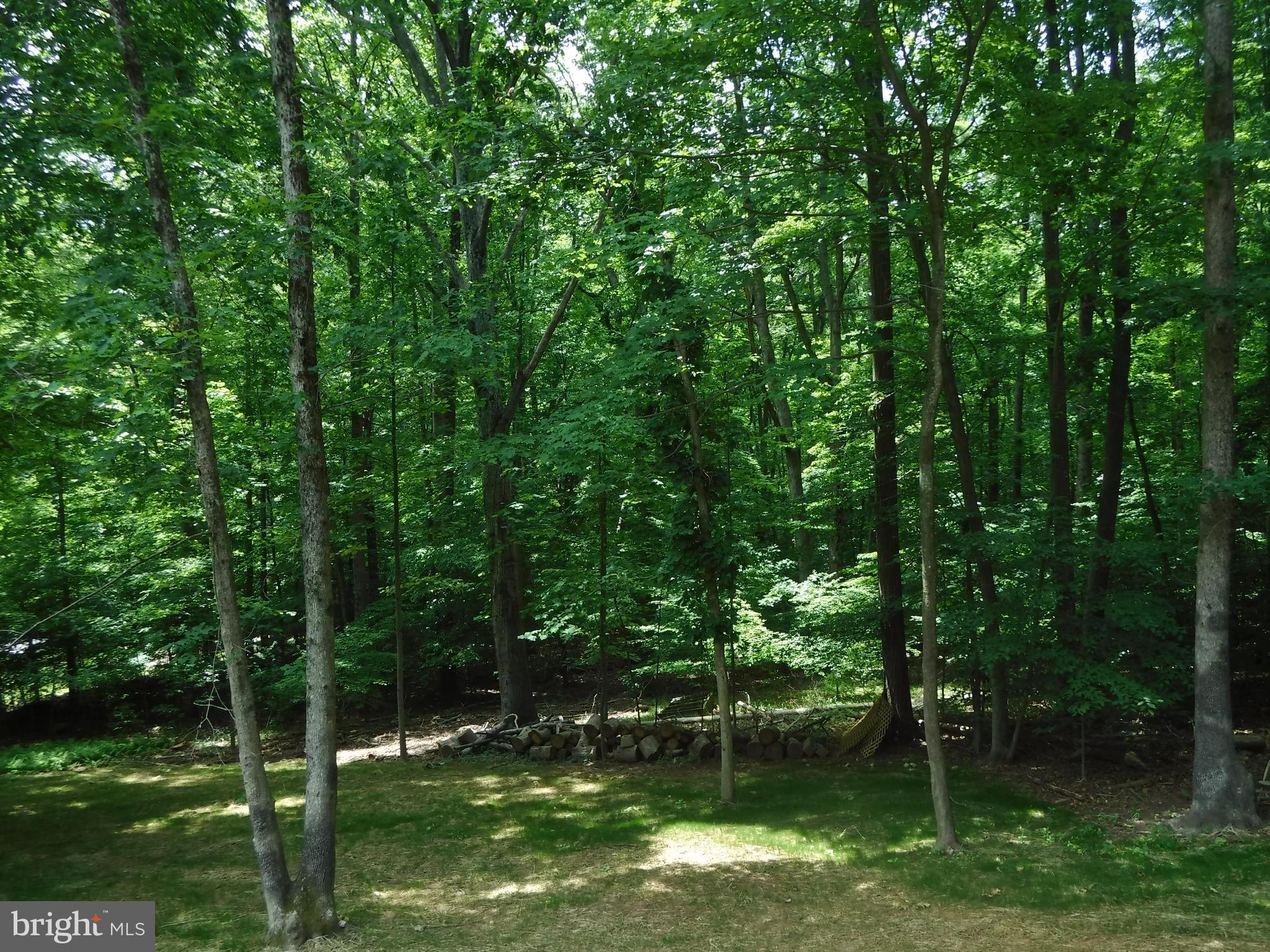 12054 Kahns Road Manassas, VA 20112 - Photo 5 of 30 Back to the trees
