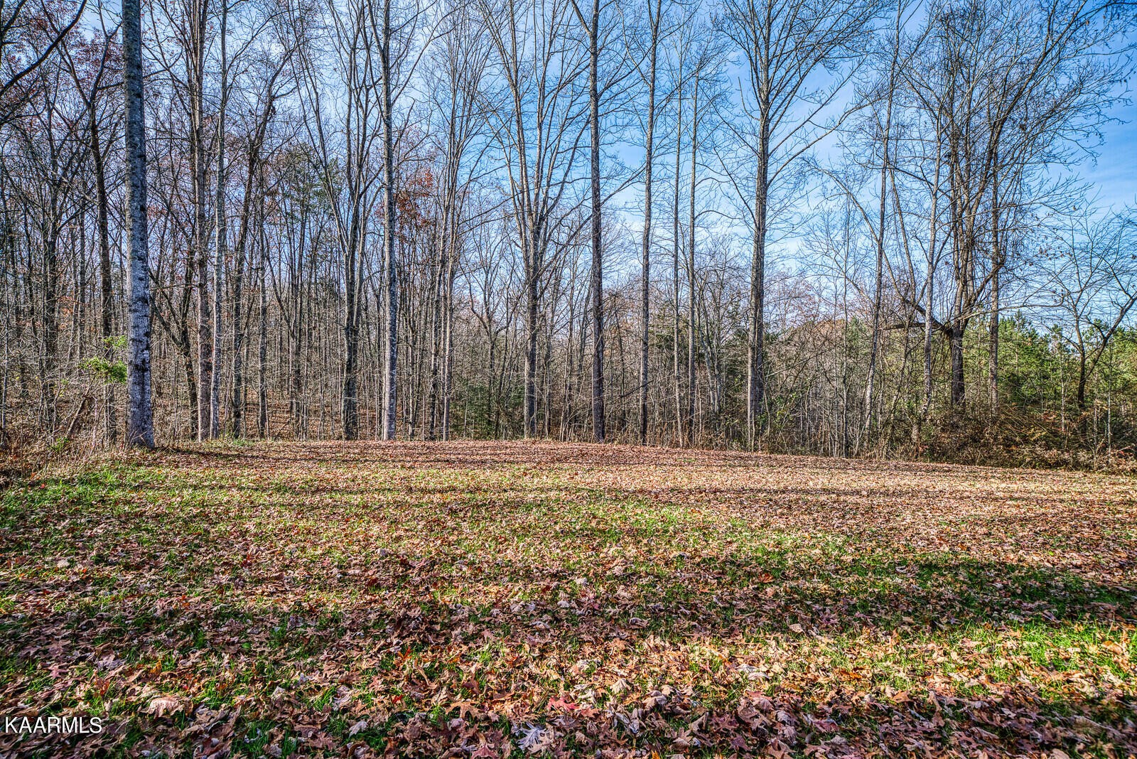 199 Hickory Mill Road Jamestown, TN 38556 - Photo 31 of 38 Gallery Image 31