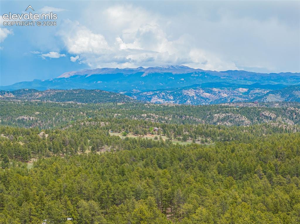 4250 Doe Valley Road Guffey, CO 80820 - Photo 29 of 35