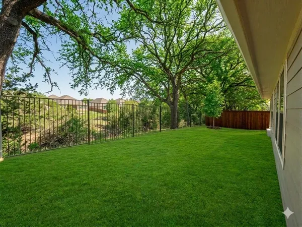 a view of a yard with a tree