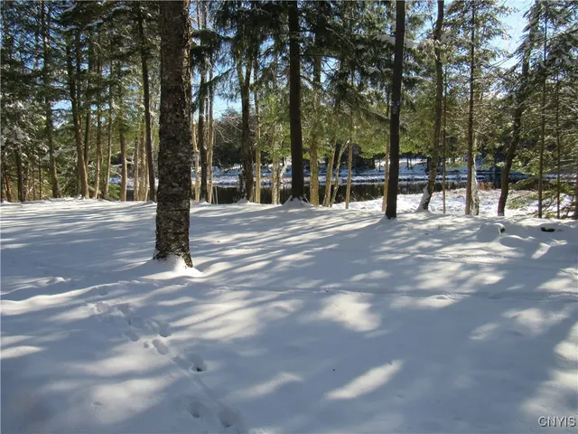 $895,000 | 209 Spruce Drive, Webb, NY 13472