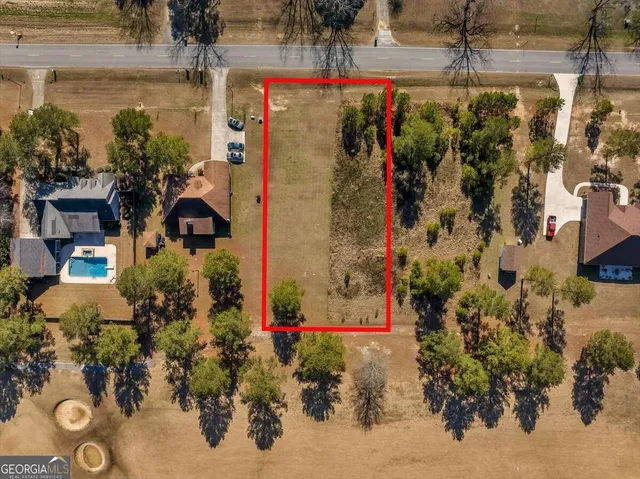 a view of lot of flowers and flowers