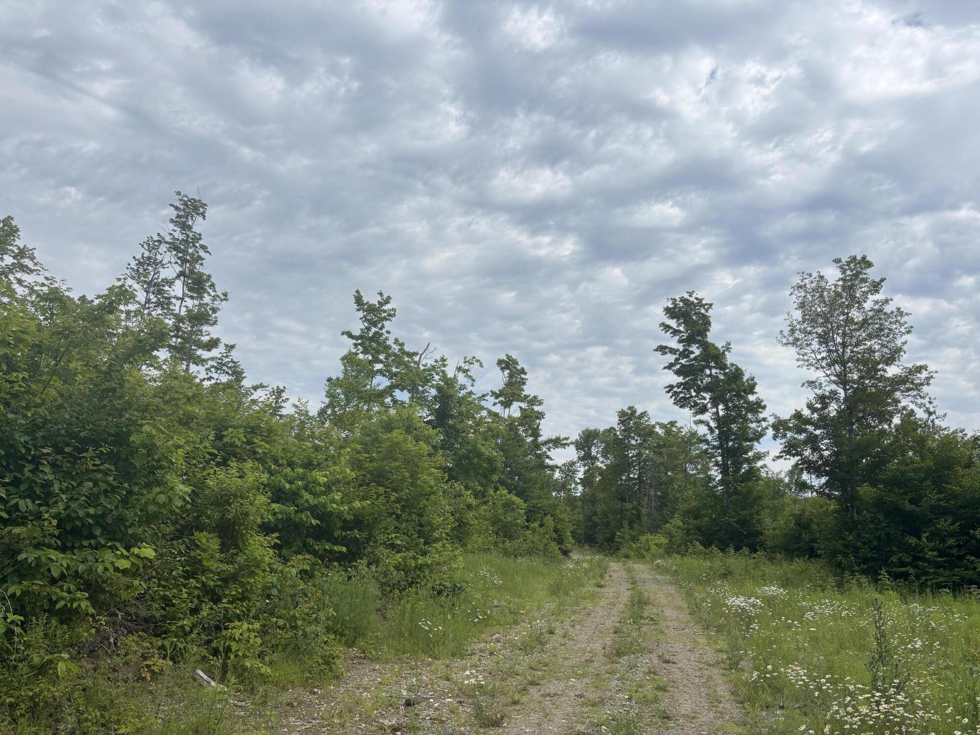 A A Clearcut Lodge Road Springfield, ME 04487 - Photo 11 of 13 11