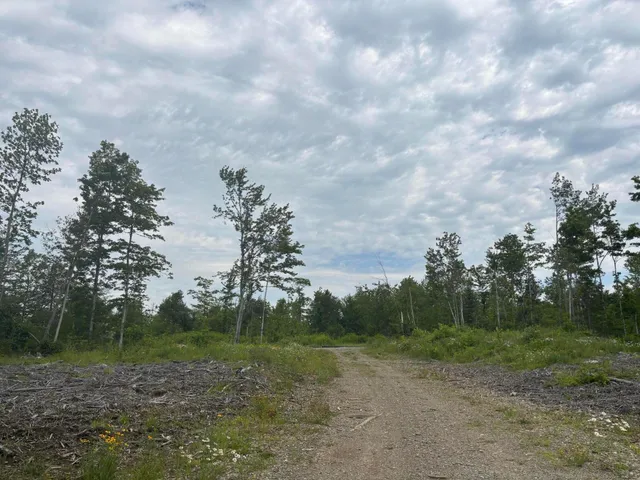 $115,000 | A A Clearcut Lodge Road, Springfield, ME 04487