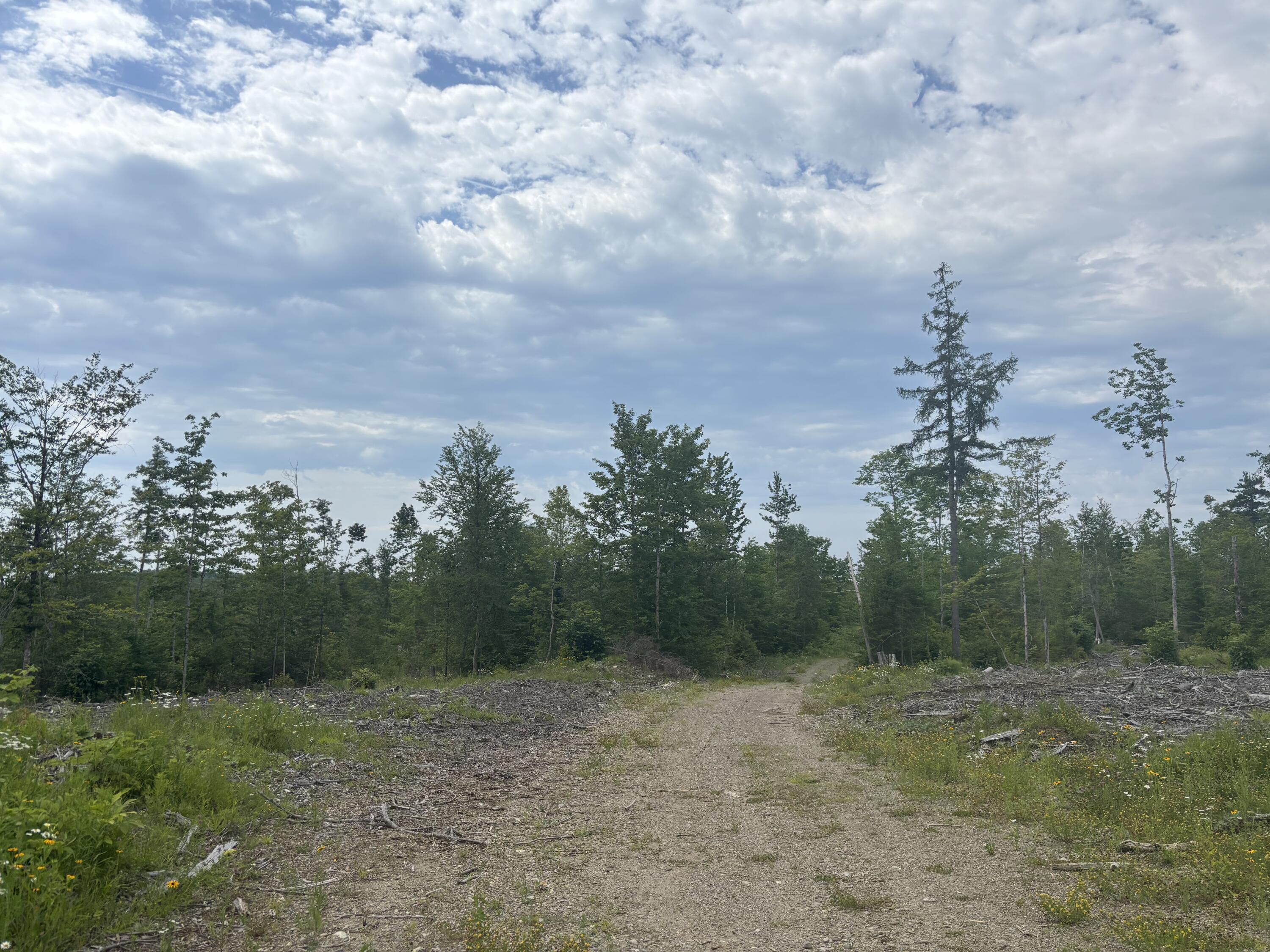 A A Clearcut Lodge Road Springfield, ME 04487 - Photo 2 of 13 2