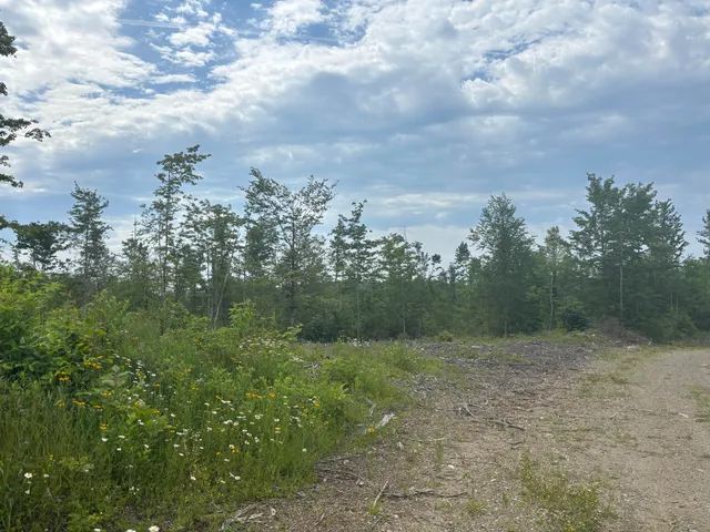 $115,000 | A A Clearcut Lodge Road, Springfield, ME 04487