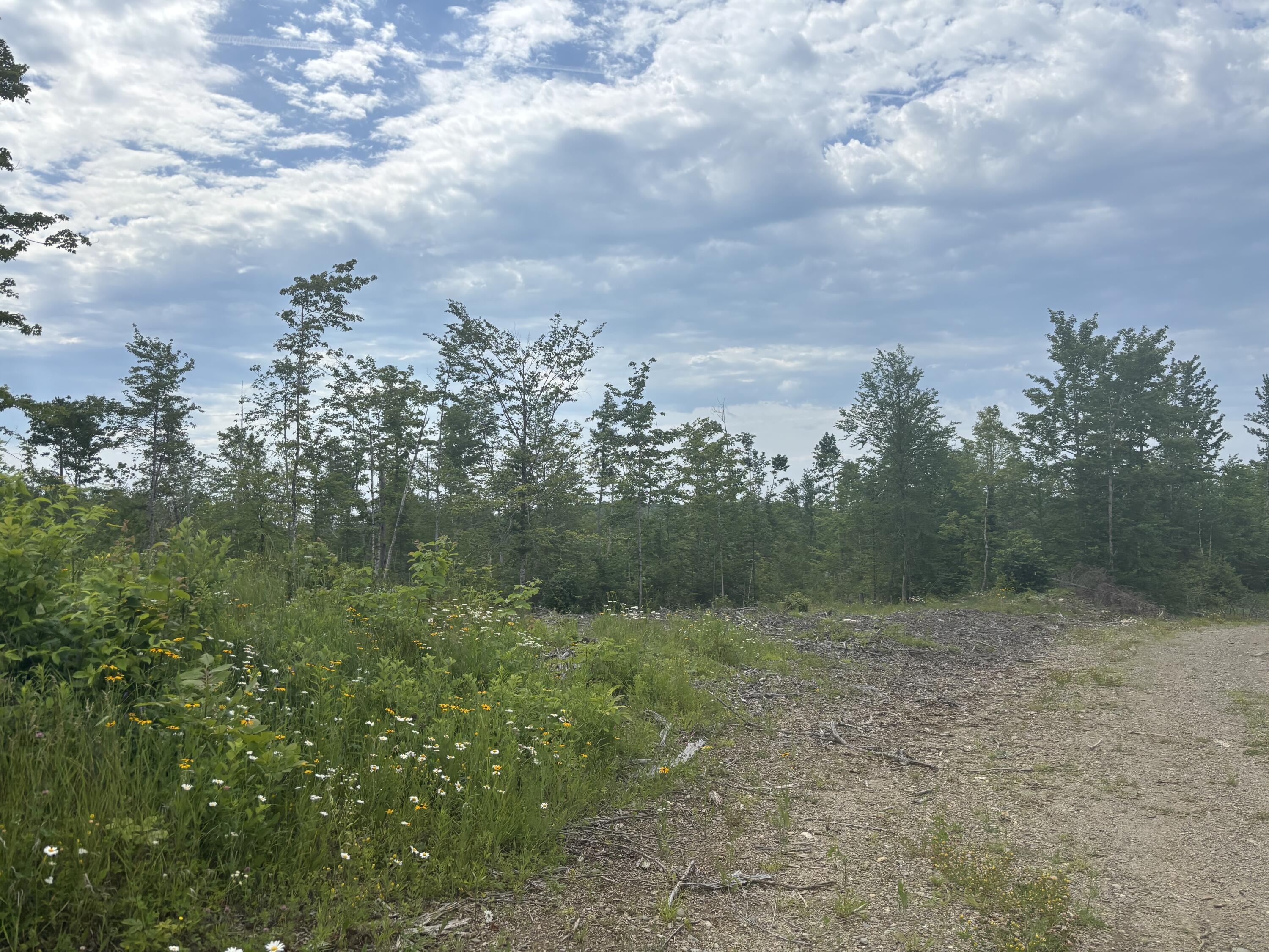 A A Clearcut Lodge Road Springfield, ME 04487 - Photo 3 of 13 3