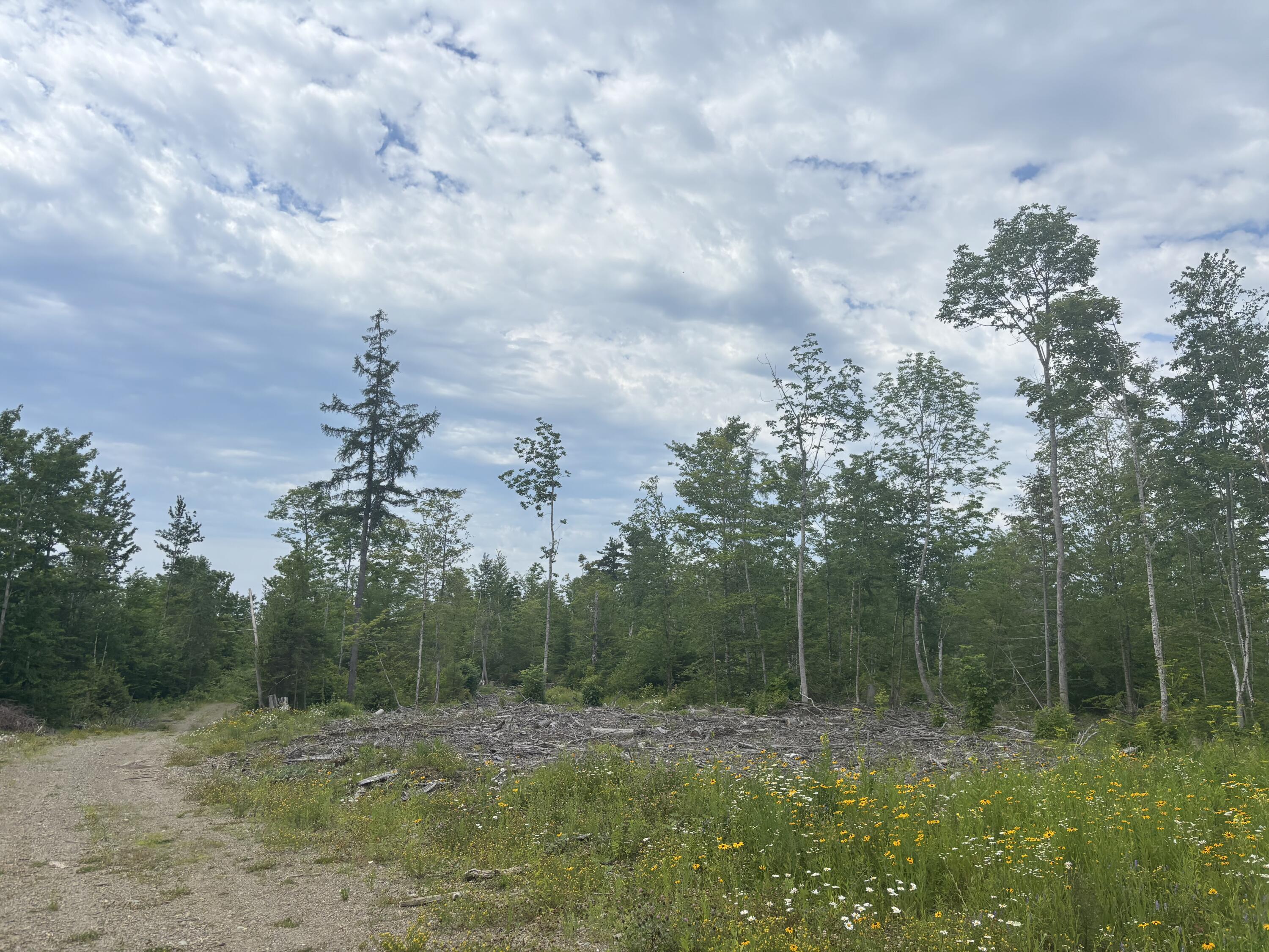 A A Clearcut Lodge Road Springfield, ME 04487 - Photo 4 of 13 4