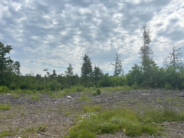 $115,000 | A A Clearcut Lodge Road, Springfield, ME 04487