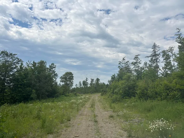 $115,000 | A A Clearcut Lodge Road, Springfield, ME 04487