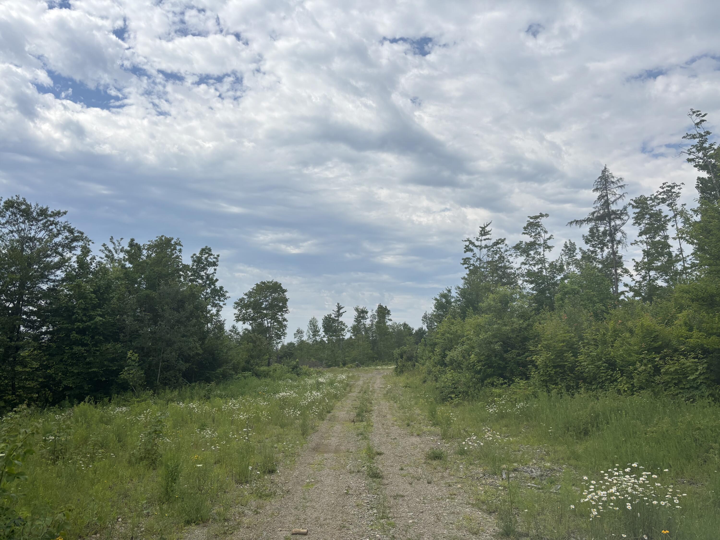 A A Clearcut Lodge Road Springfield, ME 04487 - Photo 6 of 13 6