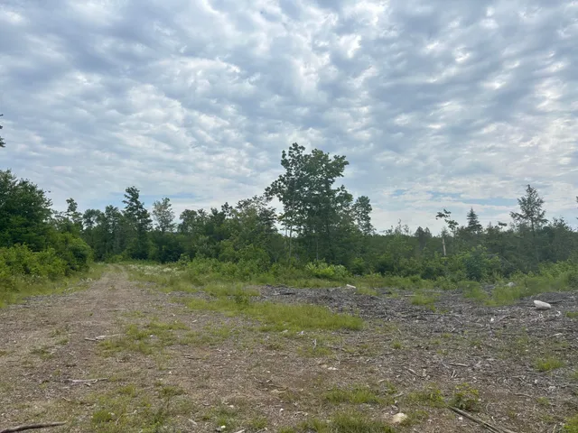 $115,000 | A A Clearcut Lodge Road, Springfield, ME 04487