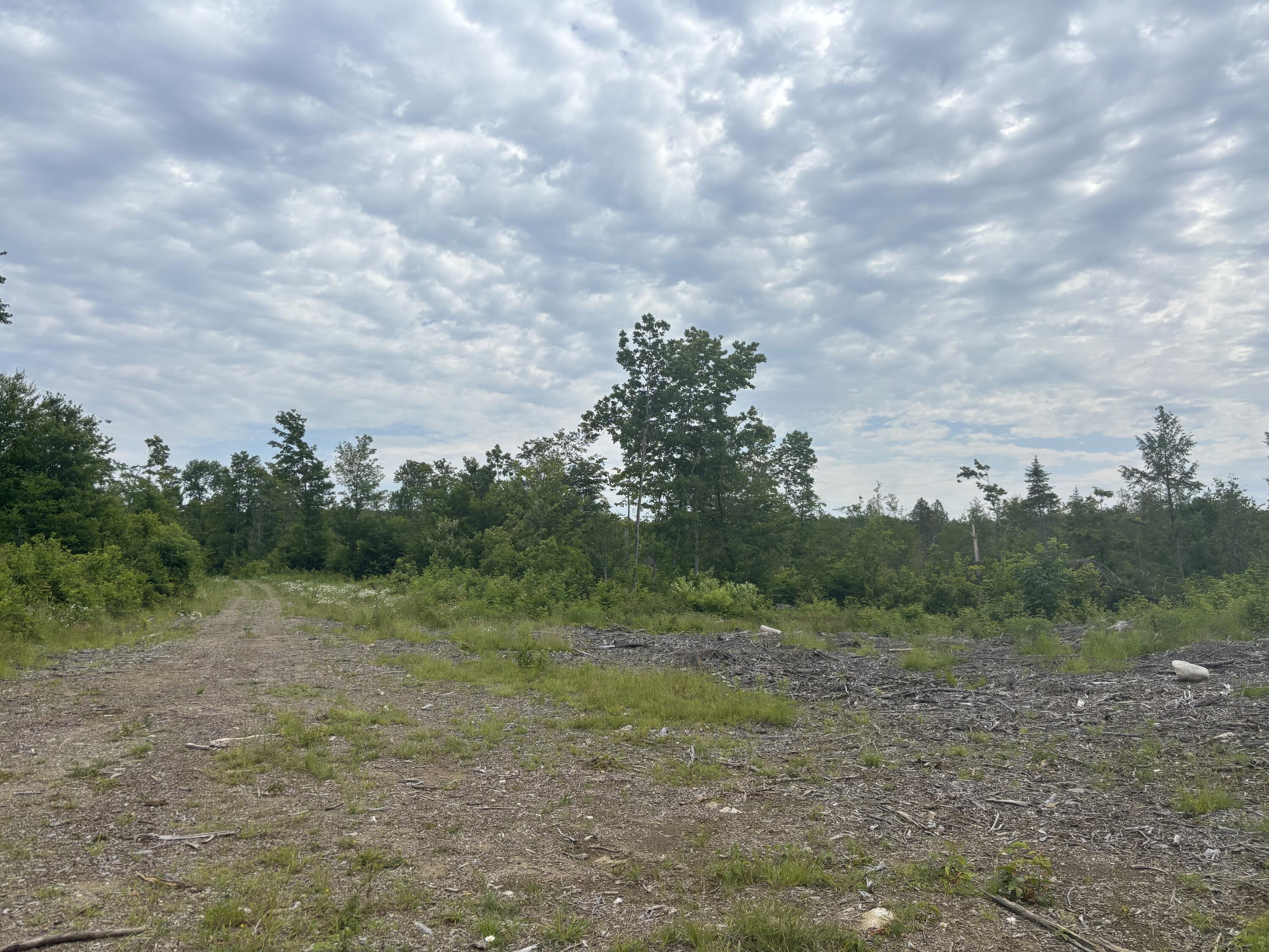 A A Clearcut Lodge Road Springfield, ME 04487 - Photo 8 of 13 8