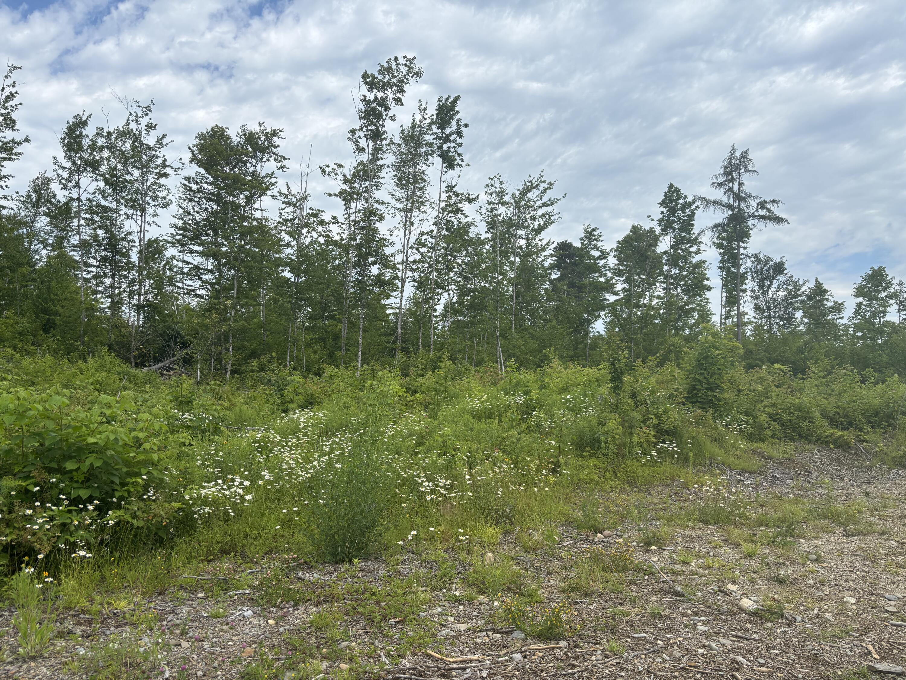 A A Clearcut Lodge Road Springfield, ME 04487 - Photo 9 of 13 9