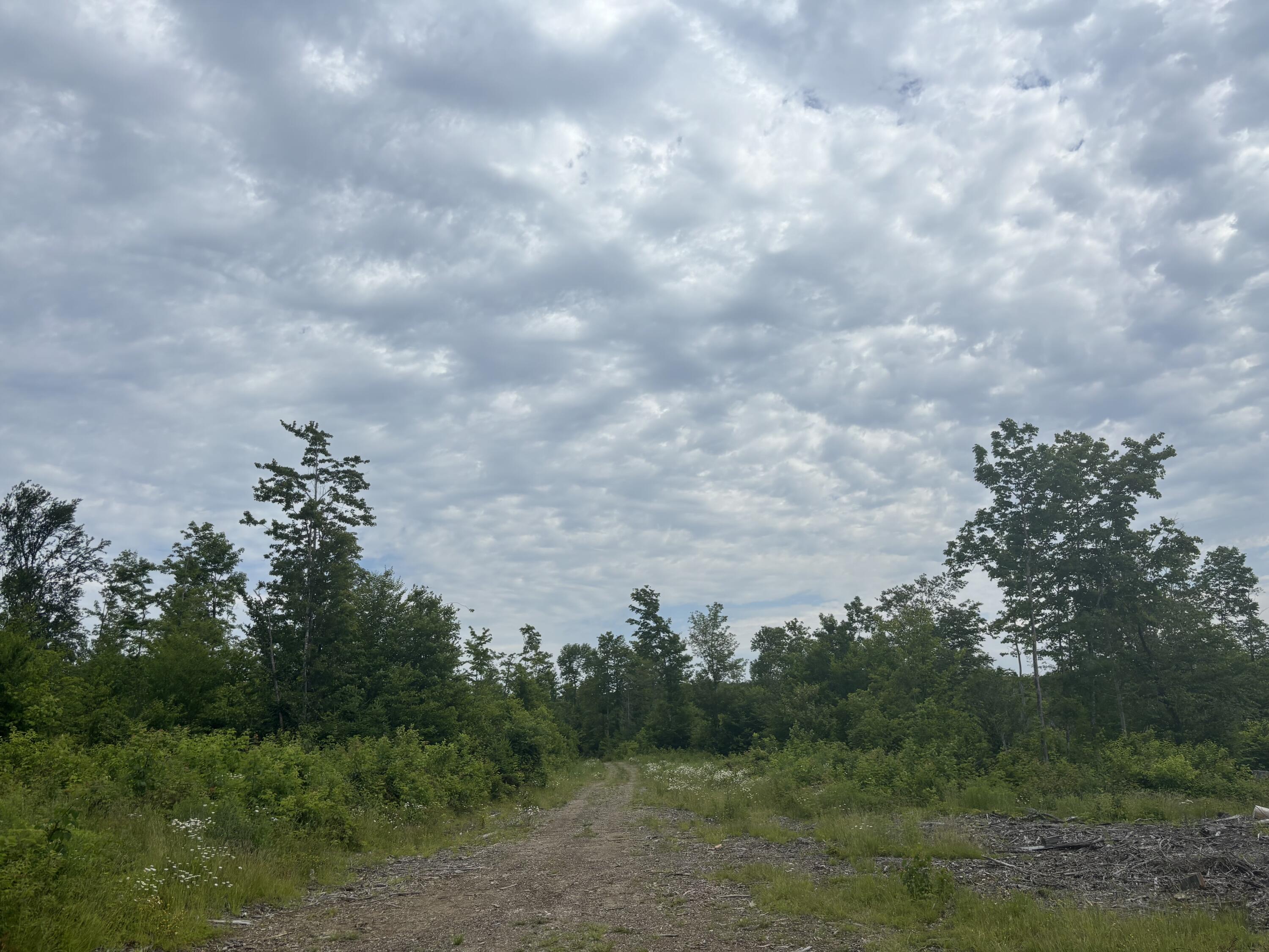 A A Clearcut Lodge Road Springfield, ME 04487 - Photo 10 of 13 10