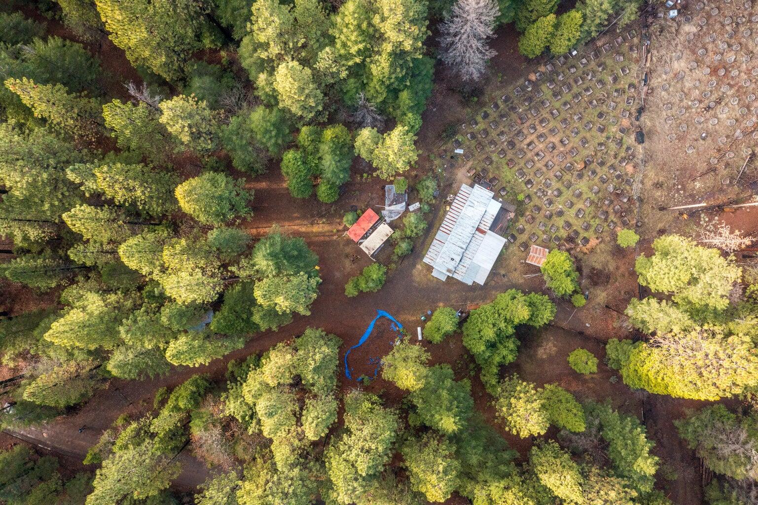 30230 Frontier Road Oak Run, CA 96069 - Photo 15 of 22 20240423171748262984000000-o
