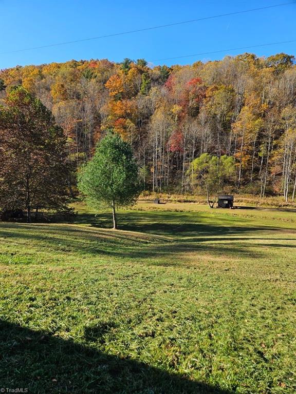 3205 Sheets Gap Road Millers Creek, NC 28651 - Photo 17 of 46