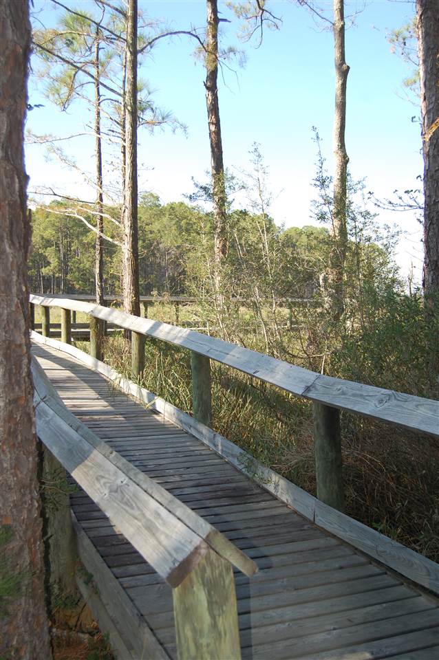 80 Treasure Oaks Road Gulf Shores, AL 36542 - Photo 3 of 18