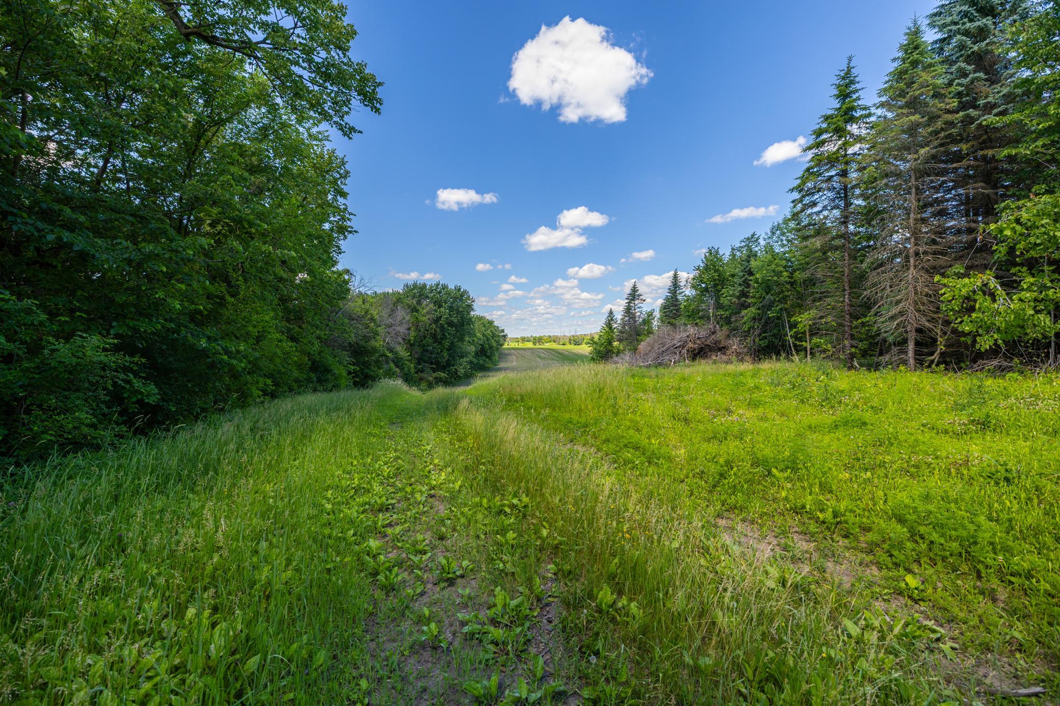 Tbd Base Line Road Northfield, MN 55057 - Photo 11 of 51