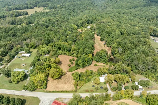 a view of a yard with plants