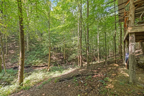 a view of outdoor space and garden