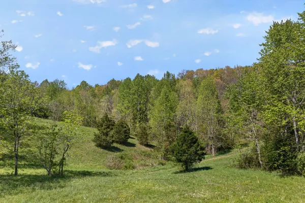 $209,900 | 225 Dale Richardson Lane, Gainesboro, TN 38562