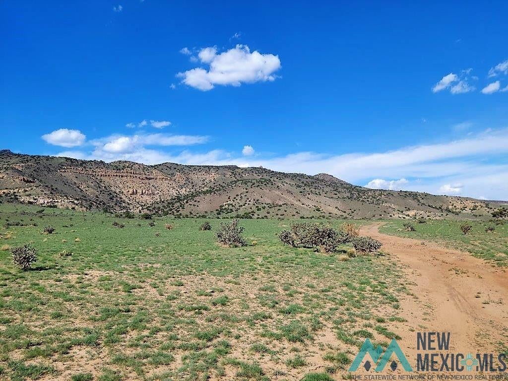 Tbd Rinconada Road San Fidel, NM 87049 - Photo 19 of 40