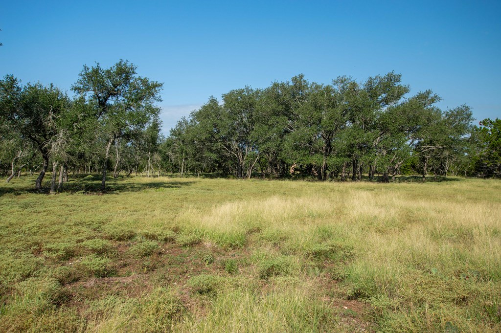 252 Elrincon Road Mountain Home, TX 78058 - Photo 12 of 29