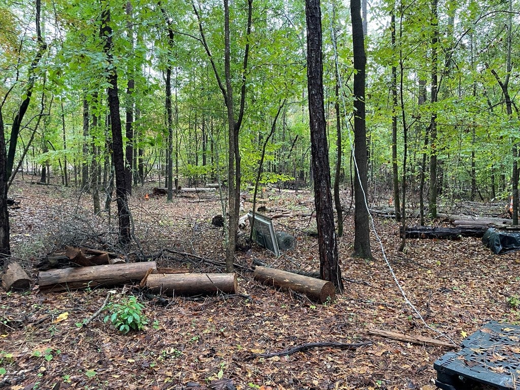 106 Shellcracker Court Eatonton, GA 31024 - Photo 2 of 9 Gallery Image 2